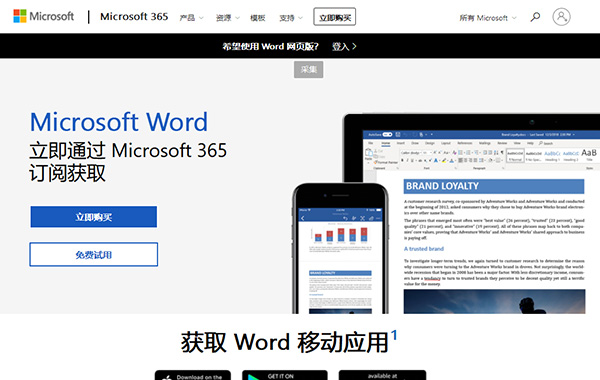 Microsoft Word