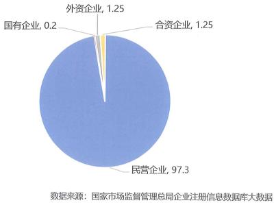 含機(jī)器翻譯與人工智能業(yè)務(wù)的在營(yíng)企業(yè)所屬類型情況（%）